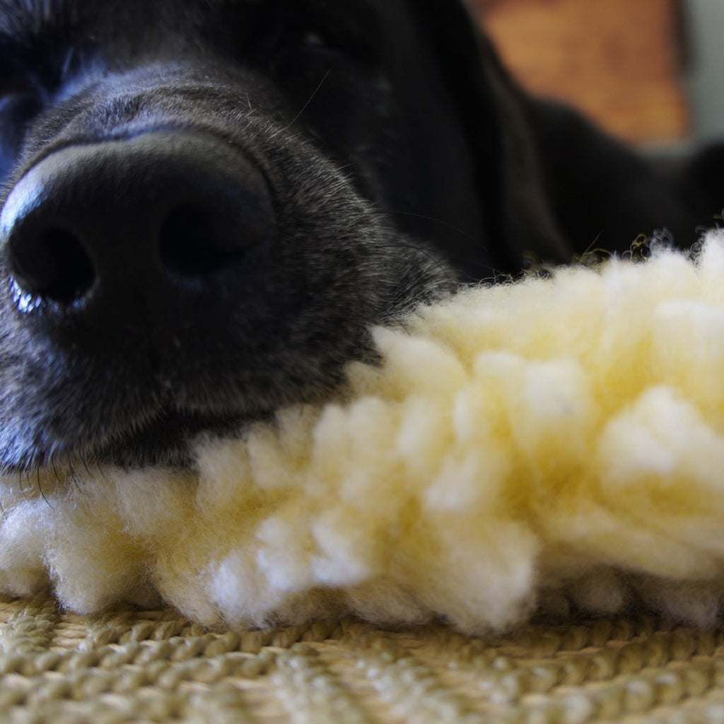 HuggleFleece® Mat Cat & Dog Bed